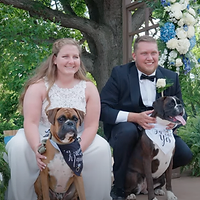 A bride and groom pose with two dogs at their wedding ceremony in front of a floral arch.
